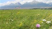 Tatry za přírodou a termály po železnici